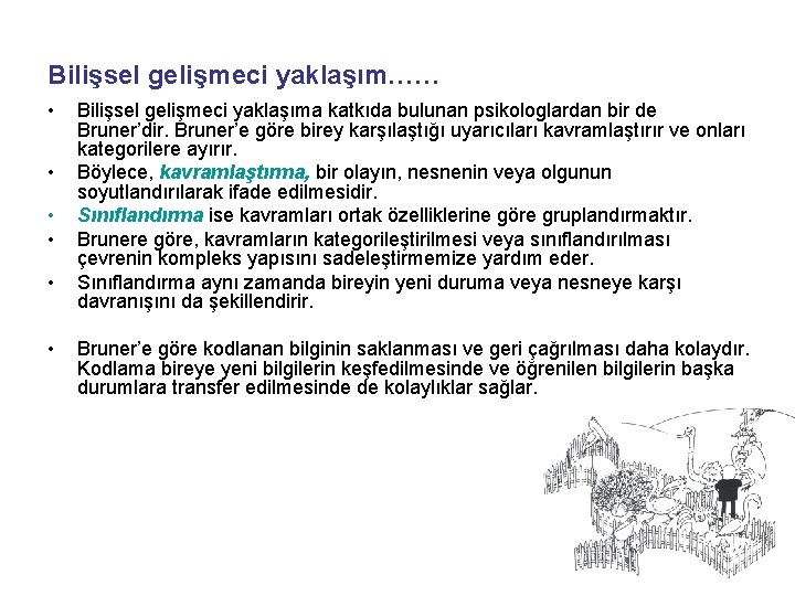 Bilişsel gelişmeci yaklaşım…… • • • Bilişsel gelişmeci yaklaşıma katkıda bulunan psikologlardan bir de