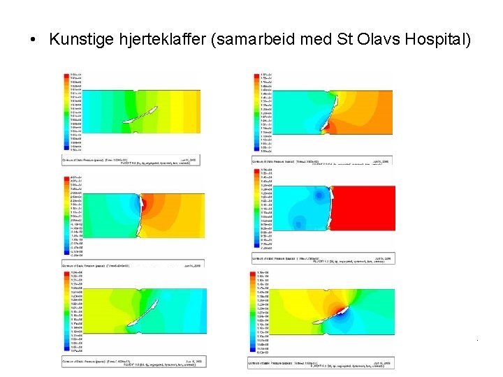  • Kunstige hjerteklaffer (samarbeid med St Olavs Hospital) . 