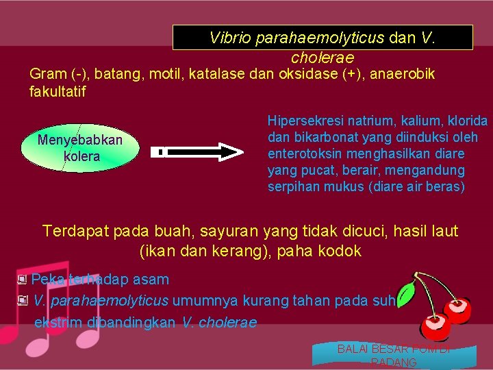 Vibrio parahaemolyticus dan V. cholerae Gram (-), batang, motil, katalase dan oksidase (+), anaerobik