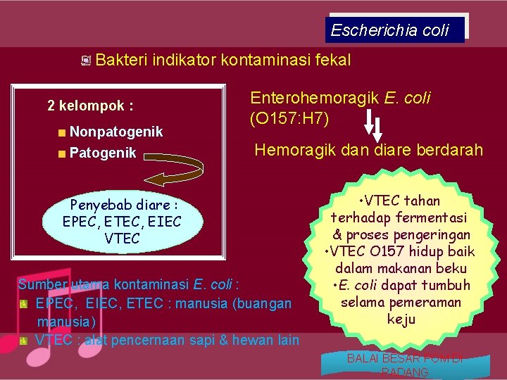 Escherichia coli Bakteri indikator kontaminasi fekal 2 kelompok : Nonpatogenik Patogenik Enterohemoragik E. coli