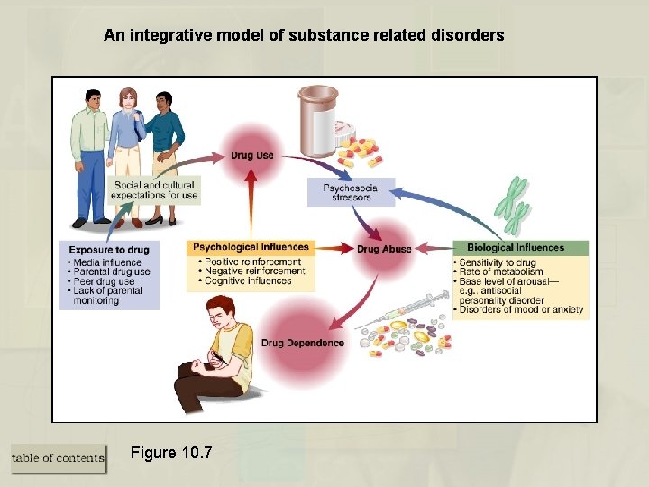 An integrative model of substance related disorders Figure 10. 7 