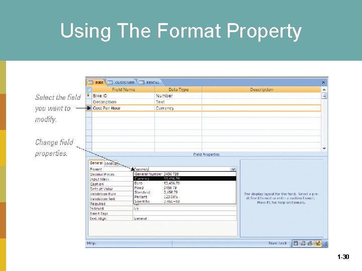 Using The Format Property 1 -30 