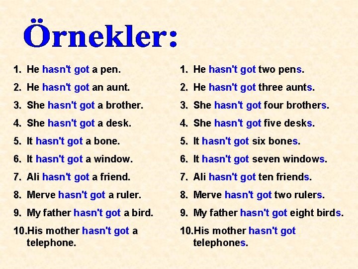 1. He hasn't got a pen. 1. He hasn't got two pens. 2. He