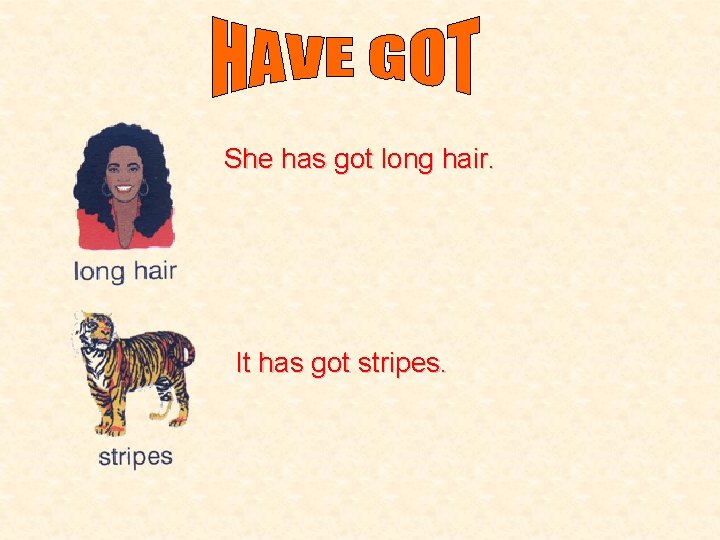She has got long hair. It has got stripes. 