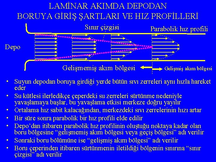 LAMİNAR AKIMDA DEPODAN BORUYA GİRİŞ ŞARTLARI VE HIZ PROFİLLERİ Sınır çizgisi Parabolik hız profili