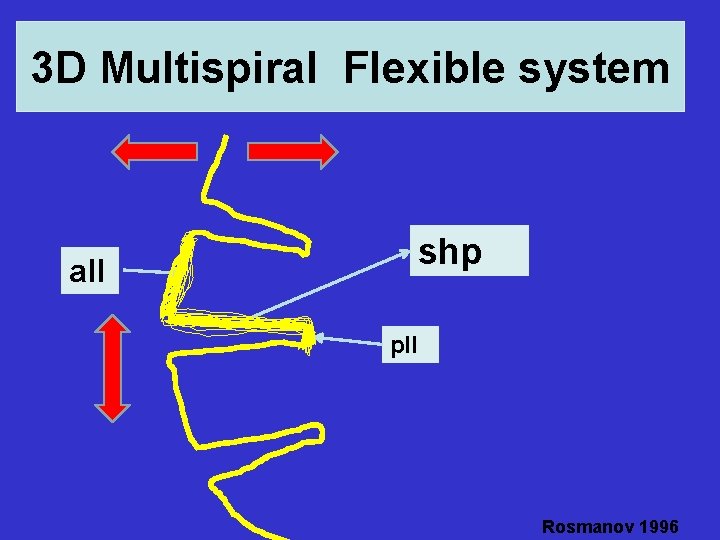 3 D Multispiral Flexible system shp all pll Rosmanov 1996 