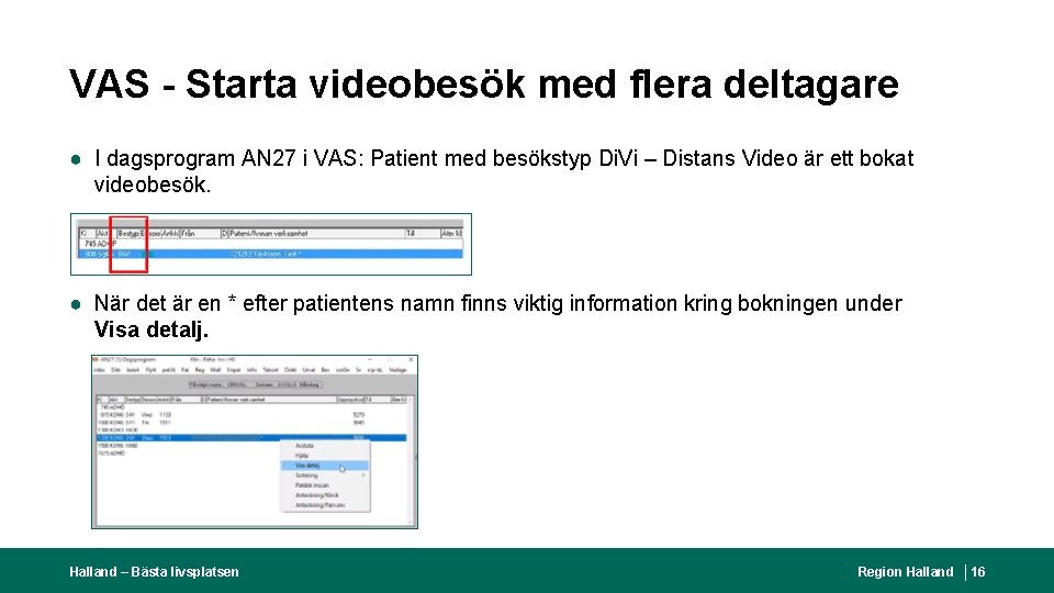 VAS - Starta videobesök med flera deltagare ● I dagsprogram AN 27 i VAS: