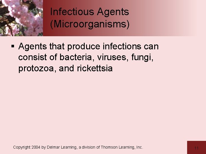 Infectious Agents (Microorganisms) § Agents that produce infections can consist of bacteria, viruses, fungi,