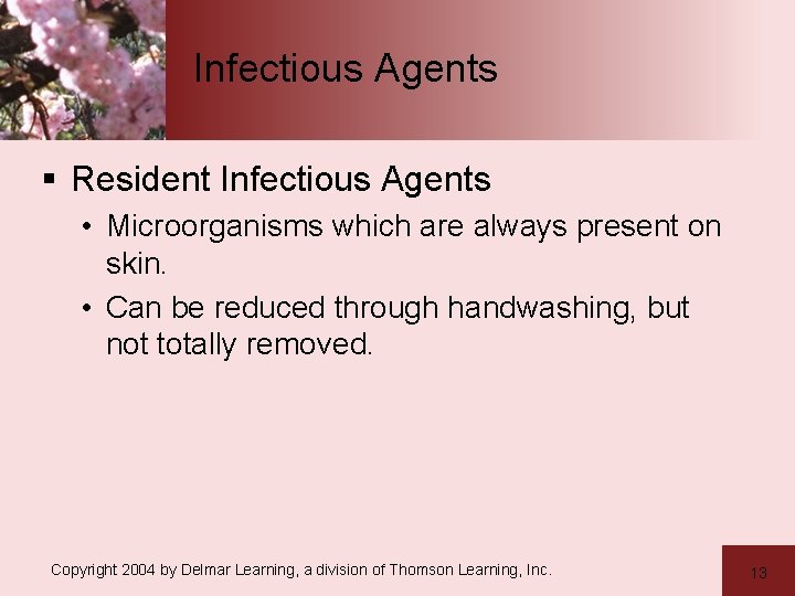 Infectious Agents § Resident Infectious Agents • Microorganisms which are always present on skin.