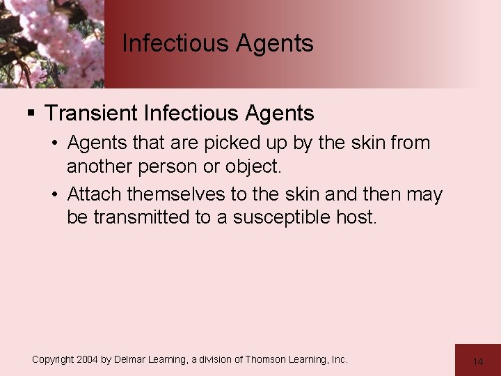 Infectious Agents § Transient Infectious Agents • Agents that are picked up by the