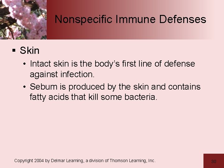 Nonspecific Immune Defenses § Skin • Intact skin is the body’s first line of