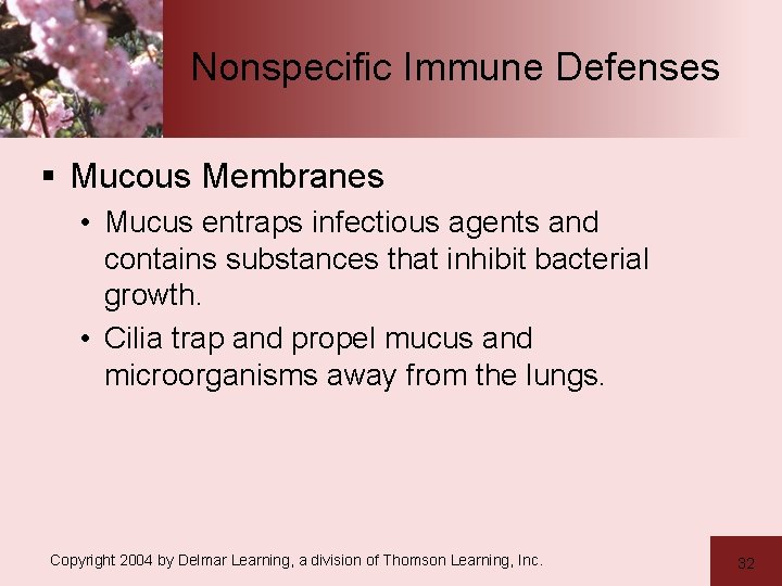 Nonspecific Immune Defenses § Mucous Membranes • Mucus entraps infectious agents and contains substances