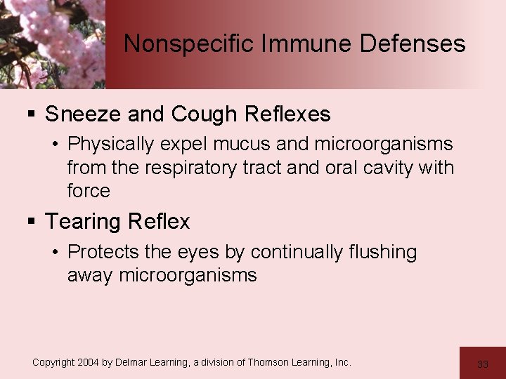 Nonspecific Immune Defenses § Sneeze and Cough Reflexes • Physically expel mucus and microorganisms
