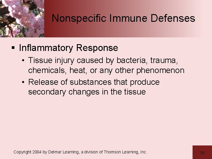 Nonspecific Immune Defenses § Inflammatory Response • Tissue injury caused by bacteria, trauma, chemicals,