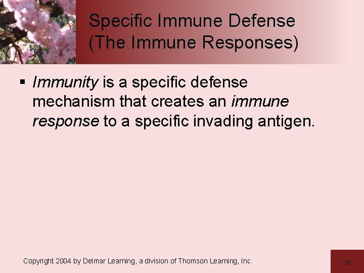 Specific Immune Defense (The Immune Responses) § Immunity is a specific defense mechanism that