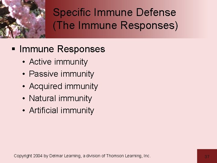 Specific Immune Defense (The Immune Responses) § Immune Responses • • • Active immunity