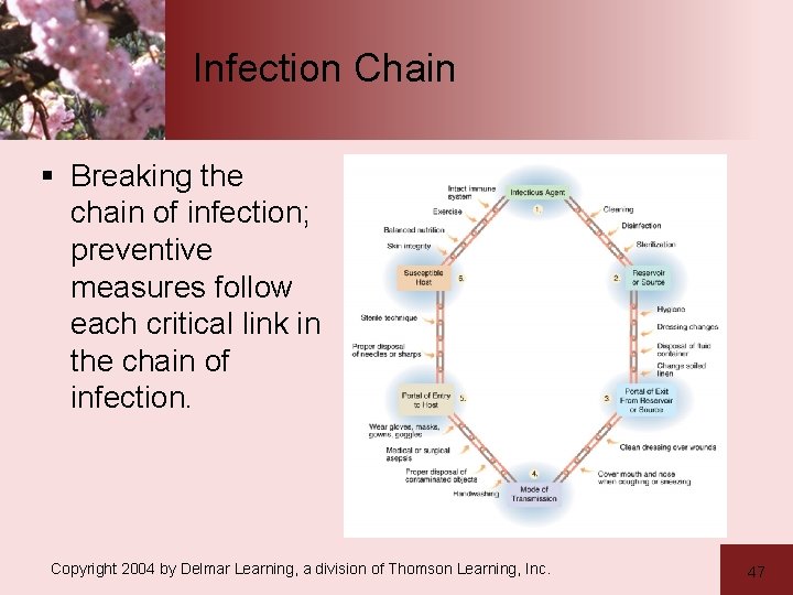 Infection Chain § Breaking the chain of infection; preventive measures follow each critical link