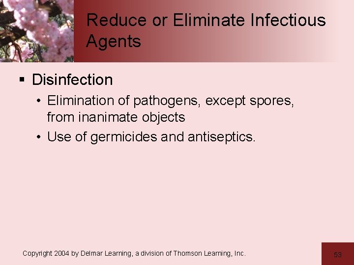 Reduce or Eliminate Infectious Agents § Disinfection • Elimination of pathogens, except spores, from