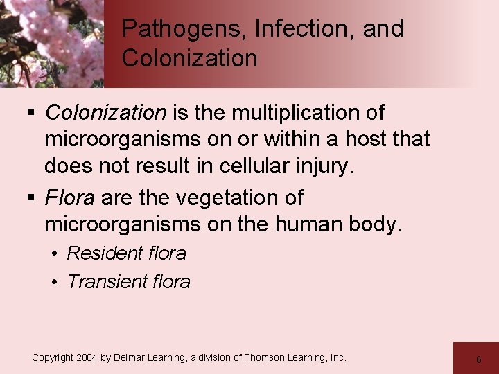 Pathogens, Infection, and Colonization § Colonization is the multiplication of microorganisms on or within