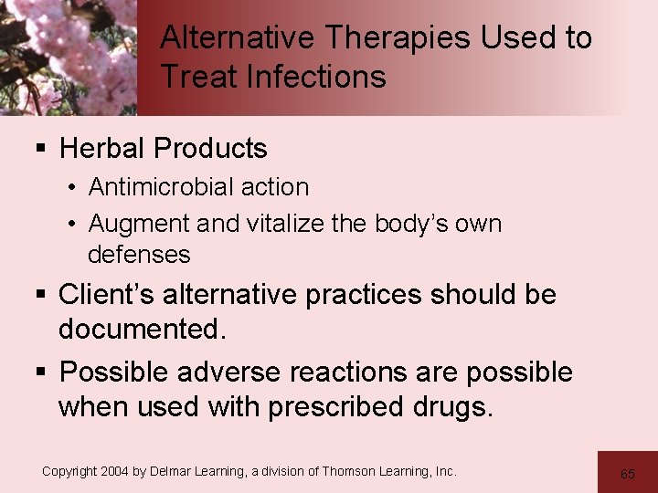 Alternative Therapies Used to Treat Infections § Herbal Products • Antimicrobial action • Augment
