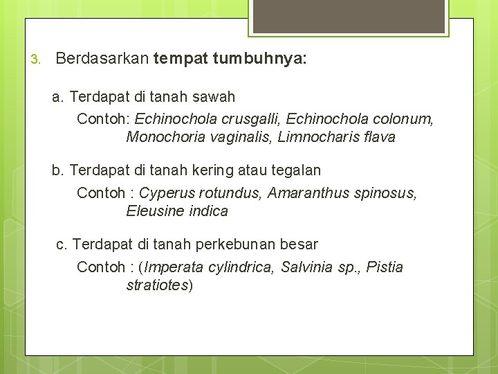 3. Berdasarkan tempat tumbuhnya: a. Terdapat di tanah sawah Contoh: Echinochola crusgalli, Echinochola colonum,