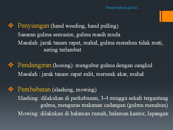 Pengendalian gulma ……. v Penyiangan (hand weeding, hand pulling) Sasaran gulma semusim, gulma masih