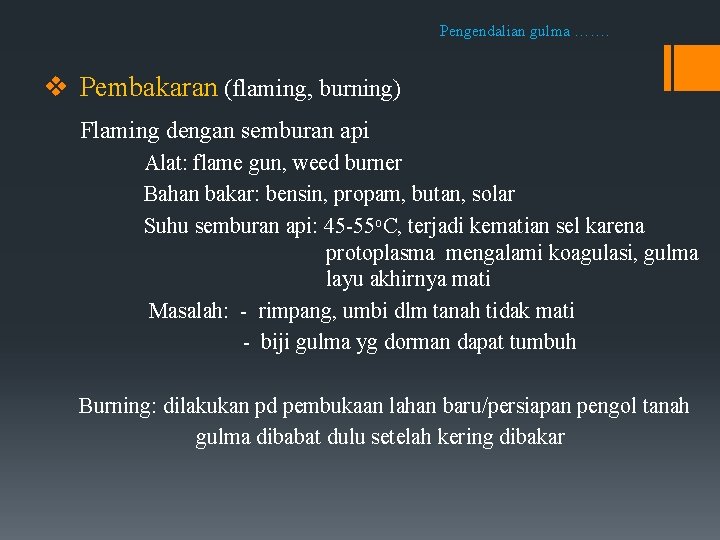 Pengendalian gulma ……. v Pembakaran (flaming, burning) Flaming dengan semburan api Alat: flame gun,