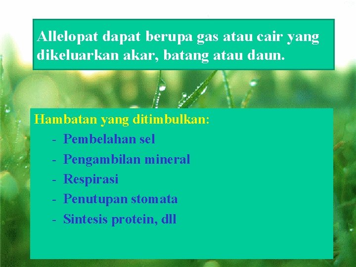 Allelopat dapat berupa gas atau cair yang dikeluarkan akar, batang atau daun. Hambatan yang