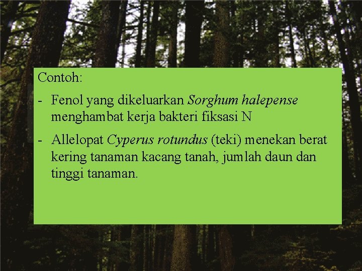 Contoh: - Fenol yang dikeluarkan Sorghum halepense menghambat kerja bakteri fiksasi N - Allelopat