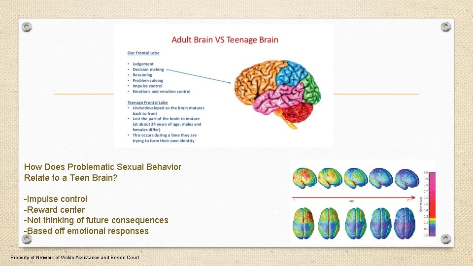 How Does Problematic Sexual Behavior Relate to a Teen Brain? -Impulse control -Reward center