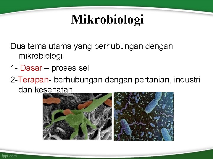 Mikrobiologi Dua tema utama yang berhubungan dengan mikrobiologi 1 - Dasar – proses sel