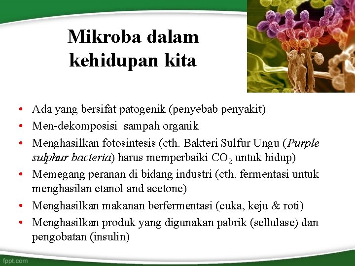 Mikroba dalam kehidupan kita • Ada yang bersifat patogenik (penyebab penyakit) • Men-dekomposisi sampah