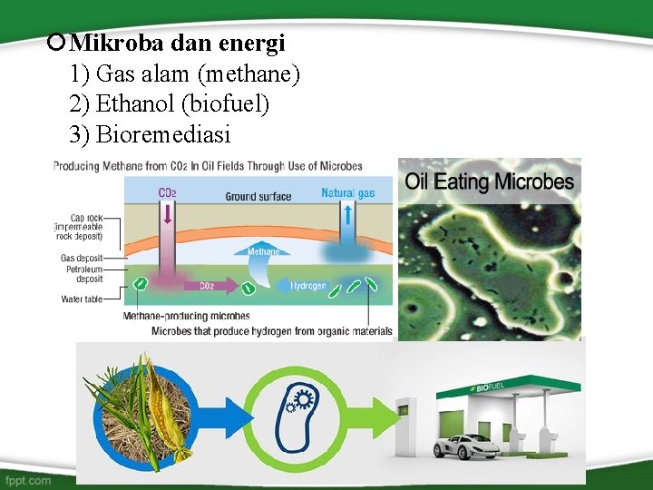  Mikroba dan energi 1) Gas alam (methane) 2) Ethanol (biofuel) 3) Bioremediasi 