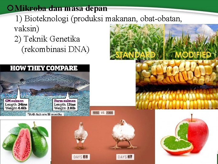  Mikroba dan masa depan 1) Bioteknologi (produksi makanan, obat-obatan, vaksin) 2) Teknik Genetika