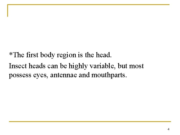 *The first body region is the head. Insect heads can be highly variable, but *The first body region is the head. Insect heads can be highly variable, but
