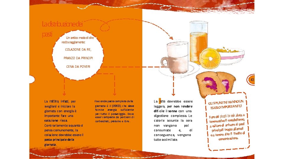 Ladistribuzionedei pasti Un antico modo di dire recita saggiamente: COLAZIONE DA RE, PRANZO DA