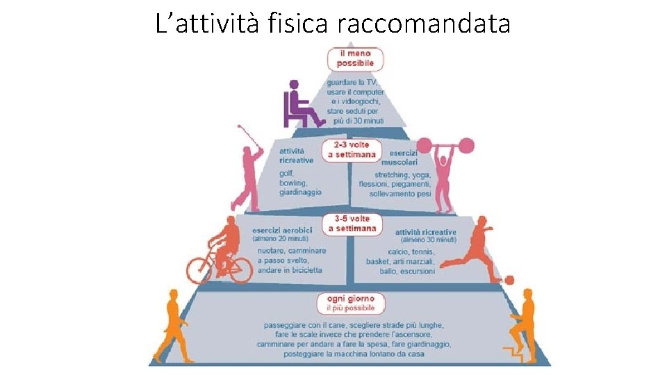 L’attività fisica raccomandata 