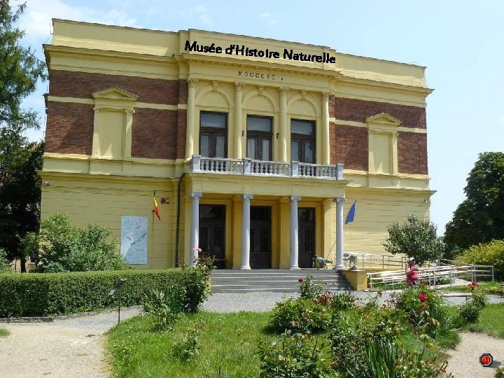 Musée d‘Histo ire Naturelle Les bases de ce musée furent jetées en 1849, lorsque