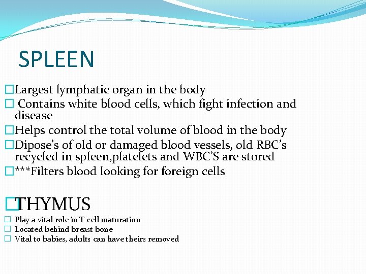 SPLEEN �Largest lymphatic organ in the body � Contains white blood cells, which fight