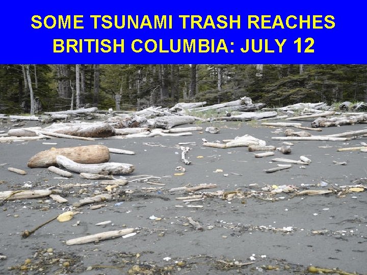 SOME TSUNAMI TRASH REACHES BRITISH COLUMBIA: JULY 12 