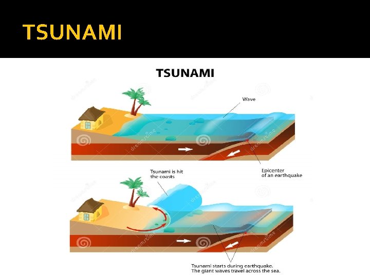 TSUNAMI 