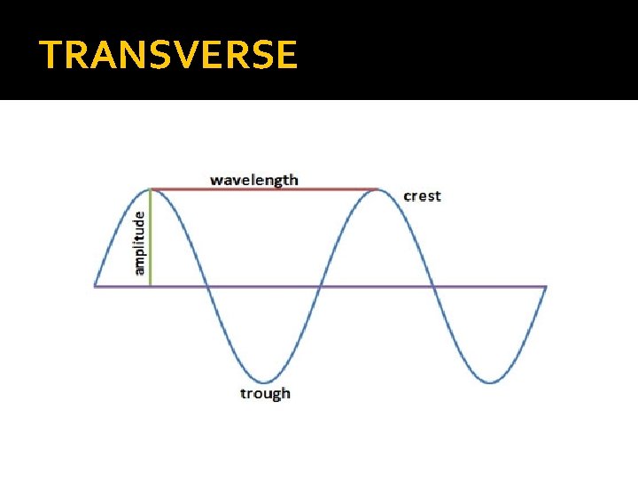 TRANSVERSE 