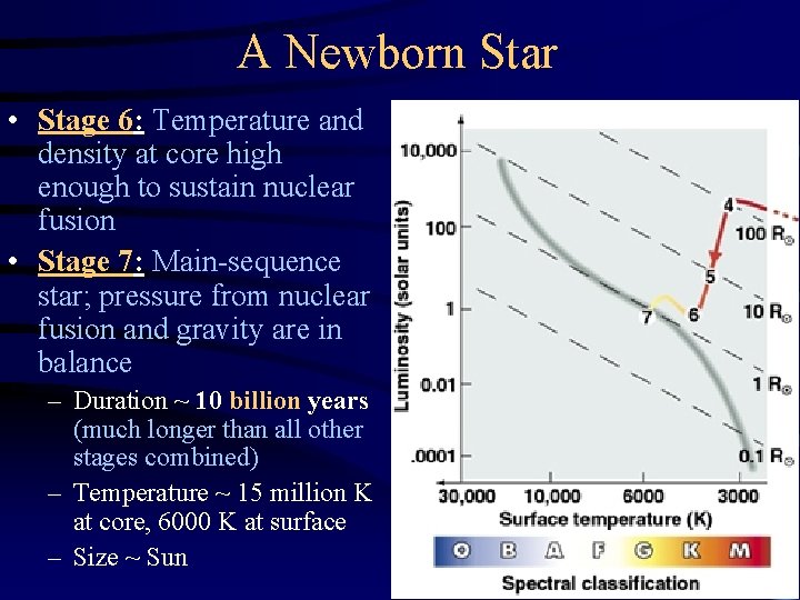 A Newborn Star • Stage 6: Temperature and density at core high enough to