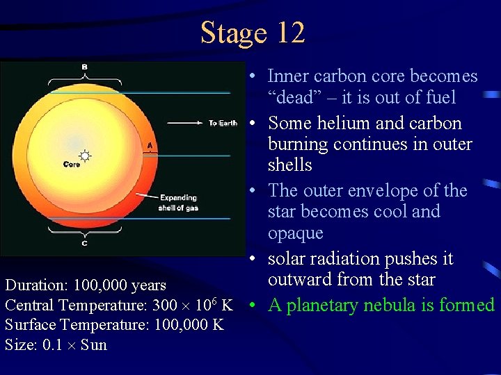 Stage 12 • Inner carbon core becomes “dead” – it is out of fuel