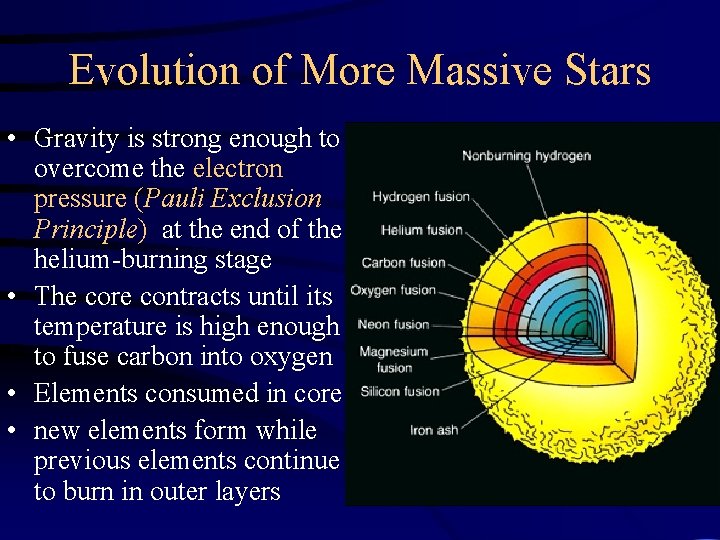 Evolution of More Massive Stars • Gravity is strong enough to overcome the electron
