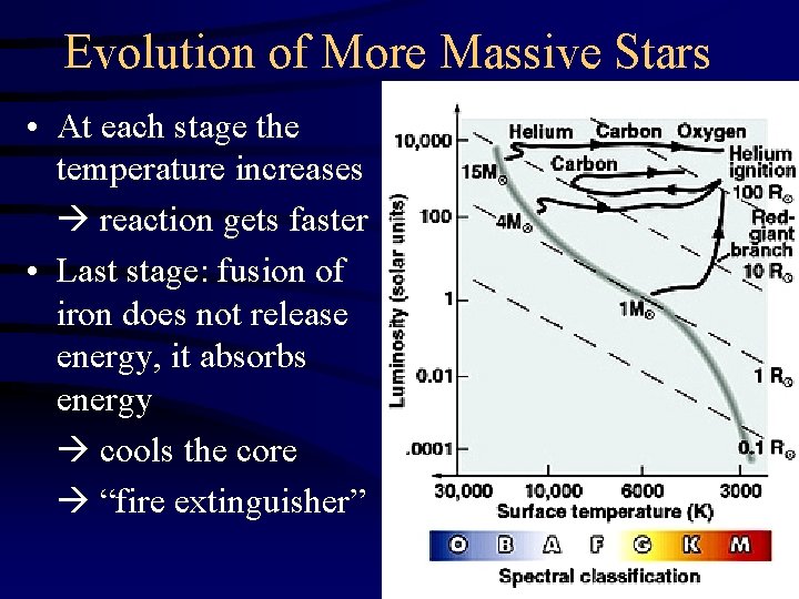 Evolution of More Massive Stars • At each stage the temperature increases reaction gets