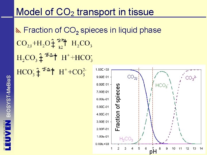 Model of CO 2 transport in tissue CO 2, l Fraction of spieces BIOSYST-Me.