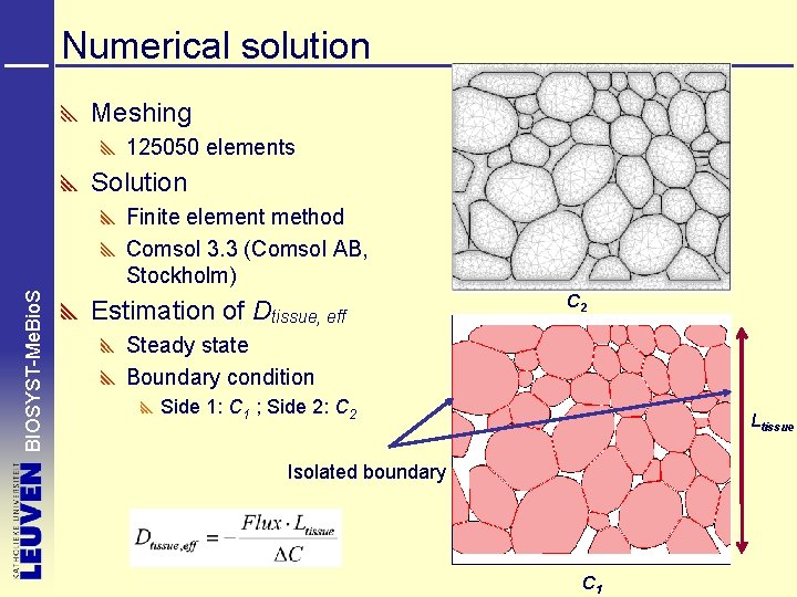 Numerical solution Meshing 125050 elements Solution BIOSYST-Me. Bio. S Finite element method Comsol 3.