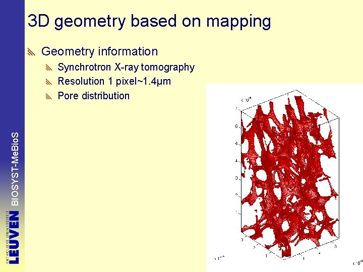 3 D geometry based on mapping Geometry information BIOSYST-Me. Bio. S Synchrotron X-ray tomography