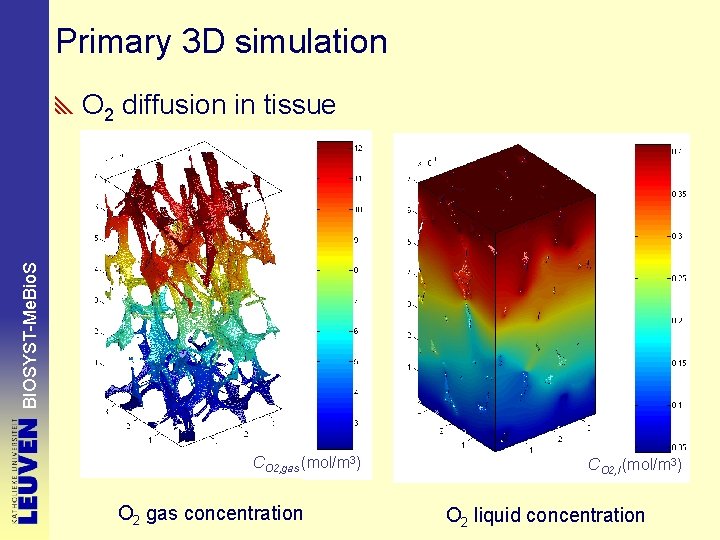 Primary 3 D simulation BIOSYST-Me. Bio. S O 2 diffusion in tissue CO 2,